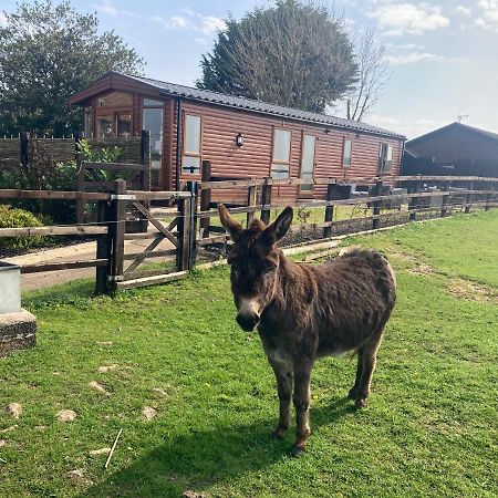 Rew Farm Country And Equestrian Accommodation - Sunset Lodge 梅尔克舍姆 外观 照片