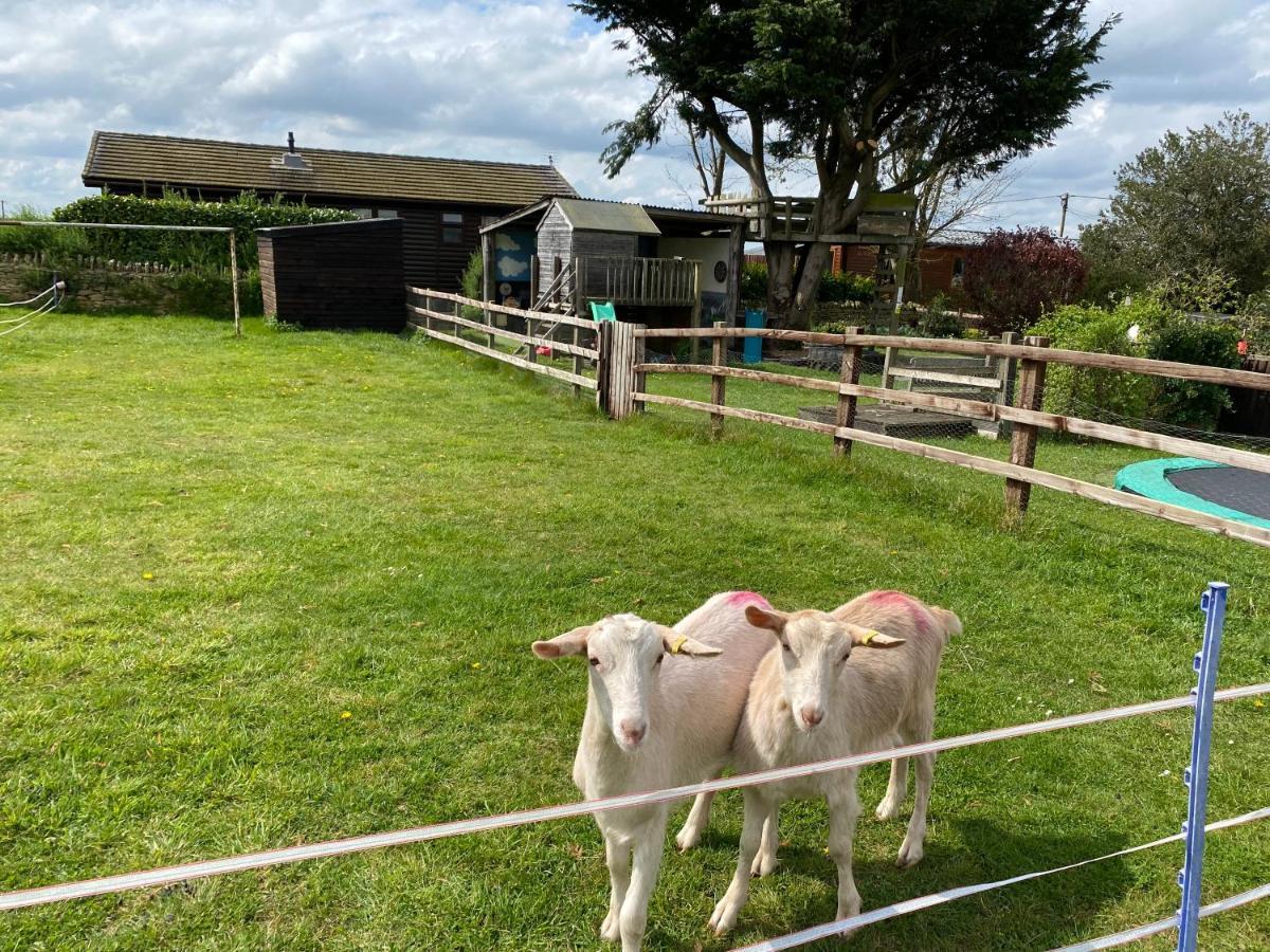 Rew Farm Country And Equestrian Accommodation - Sunset Lodge 梅尔克舍姆 外观 照片
