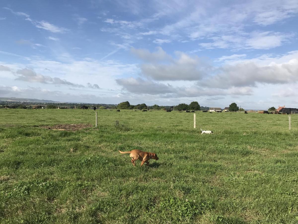 Rew Farm Country And Equestrian Accommodation - Sunset Lodge 梅尔克舍姆 外观 照片