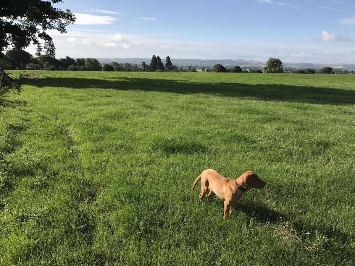Rew Farm Country And Equestrian Accommodation - Sunset Lodge 梅尔克舍姆 外观 照片